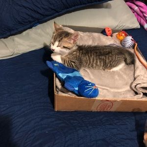 Meet your Posher, Jorge